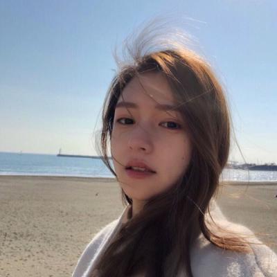 代号z 无限资源版下载