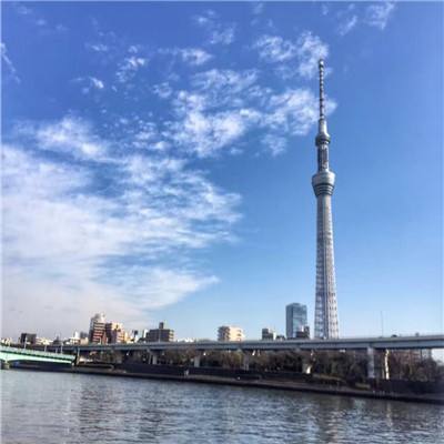 仙境情缘bt版下载