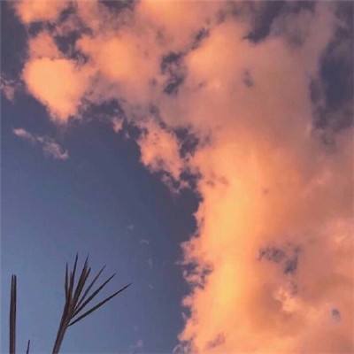 仙境传说ro永恒手游私服下载